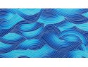 FUNKY TRUNKS COLD CURRENT CLASSIC TRUNK